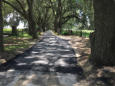 Residential Paving - 1,200’ Paved Driveway - Satlow Farm - Ocala, FL 2017