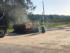 Live Oak, FL